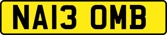 NA13OMB