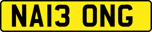 NA13ONG