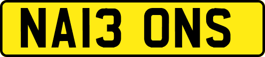 NA13ONS