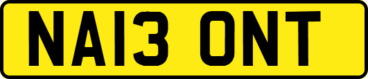 NA13ONT
