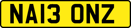 NA13ONZ