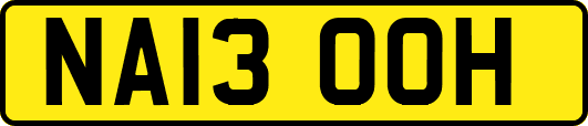 NA13OOH