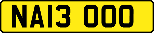 NA13OOO