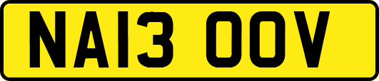 NA13OOV