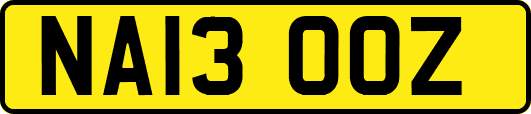 NA13OOZ
