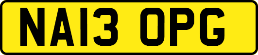 NA13OPG