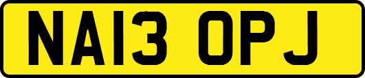 NA13OPJ