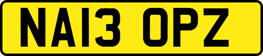 NA13OPZ