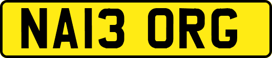 NA13ORG