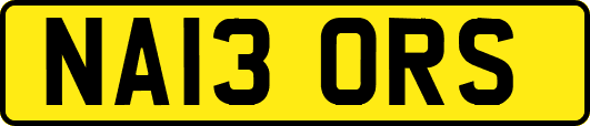 NA13ORS