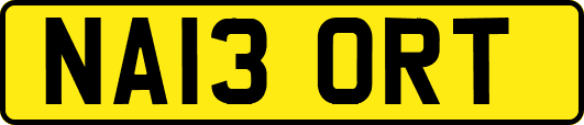 NA13ORT