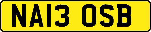 NA13OSB