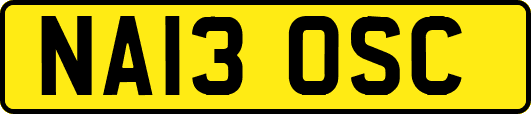 NA13OSC