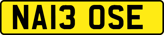 NA13OSE