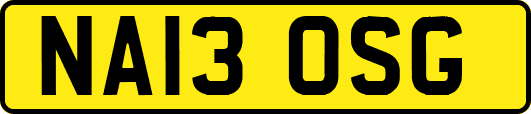 NA13OSG