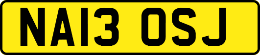 NA13OSJ