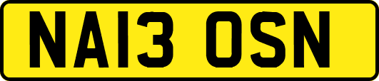 NA13OSN