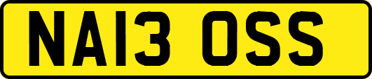 NA13OSS