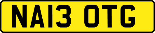 NA13OTG