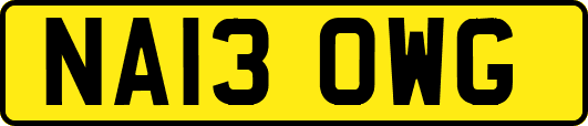 NA13OWG
