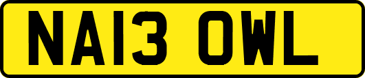 NA13OWL