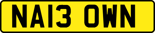 NA13OWN
