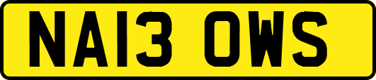 NA13OWS