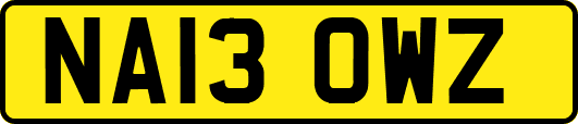NA13OWZ
