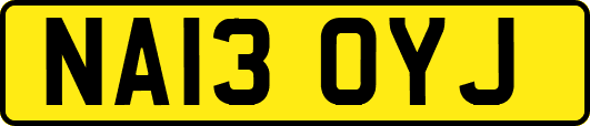NA13OYJ