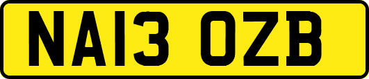 NA13OZB