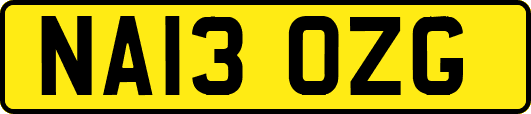 NA13OZG
