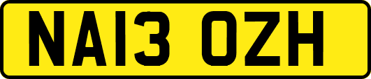 NA13OZH