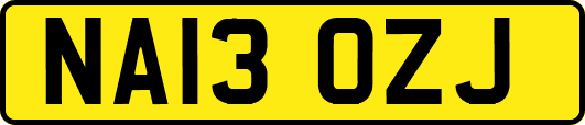 NA13OZJ