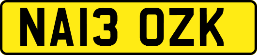 NA13OZK
