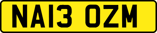 NA13OZM