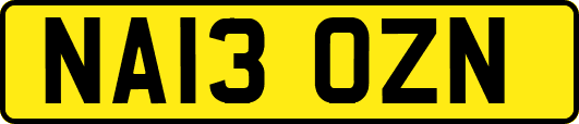 NA13OZN