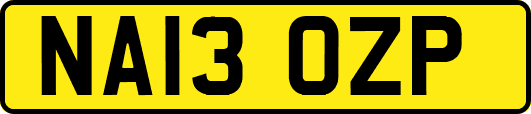 NA13OZP