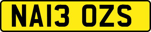 NA13OZS