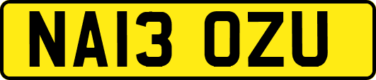 NA13OZU