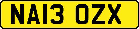 NA13OZX