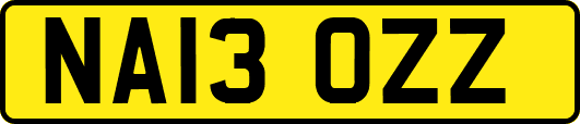 NA13OZZ