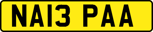 NA13PAA