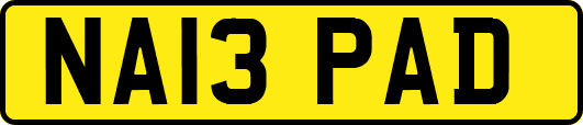 NA13PAD