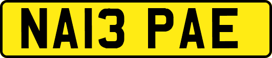 NA13PAE