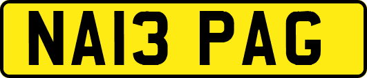 NA13PAG