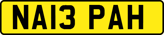 NA13PAH
