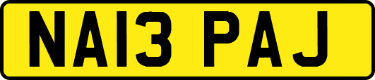 NA13PAJ