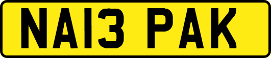 NA13PAK