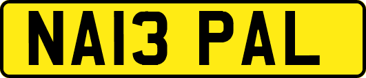 NA13PAL