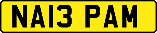 NA13PAM